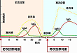 新冠 PCR 检测受质疑，如何实现差异化精准检测