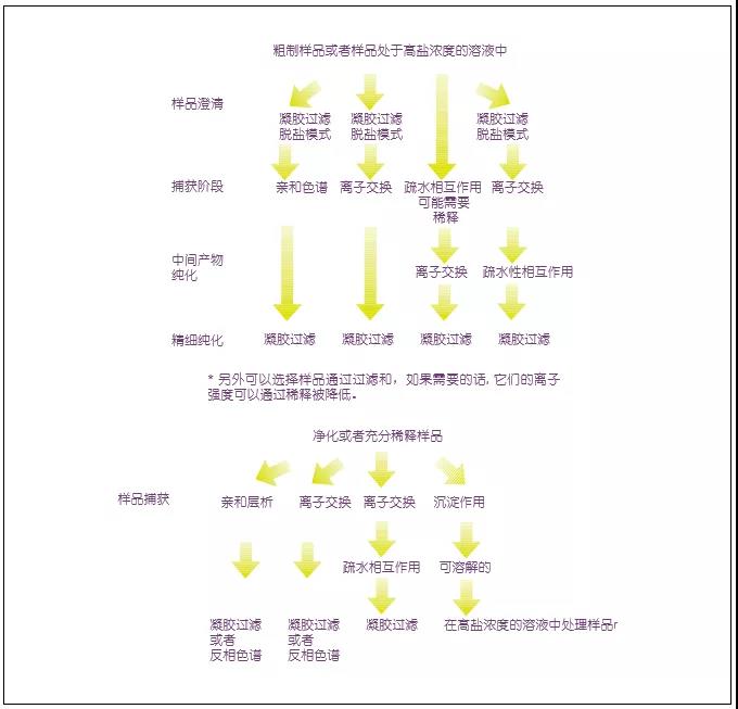 技术 | 蛋白纯化(二)