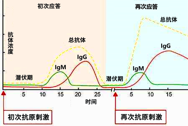 的分子生物学手段外,还包括以抗原或抗体为检测靶标的免疫学检测手段