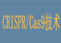 CRISPR/Cas9技术