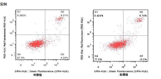 细胞膜绿色荧光探针(DiO)说明