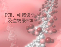 PCR Buffer套装(PCR优化用)