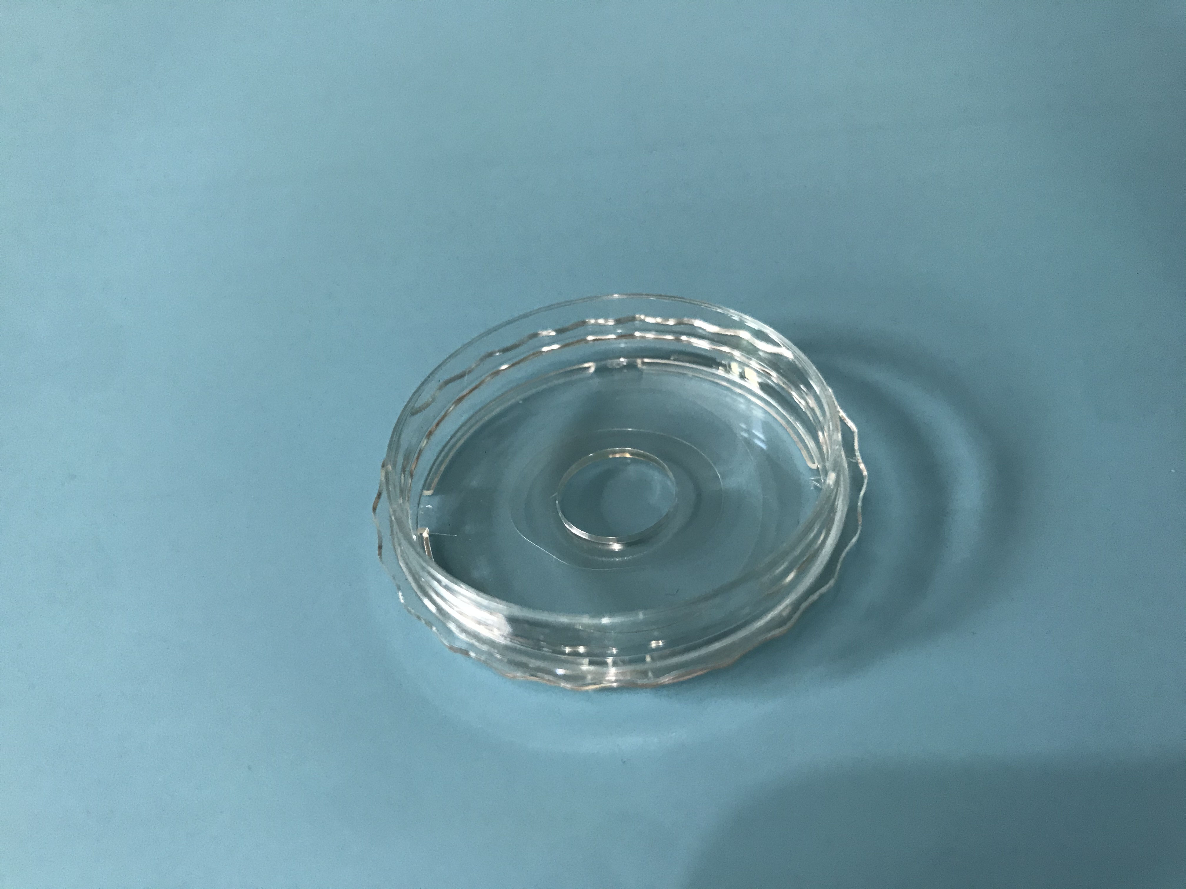 上海增友生物激光共聚焦玻底培养皿直径20mm共聚焦玻底小皿四分格玻底培养皿显微镜专用玻底皿活细胞成像用玻底皿厂家