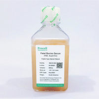 特级胎牛血清