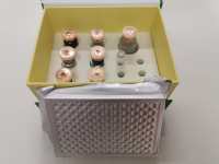 IL-3试剂盒产品库存