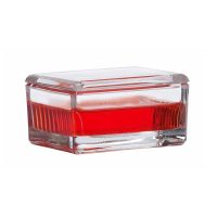 WHEATON 染色皿 10-20 个滑槽单元，内部尺寸约为：75mm×55mm×35mm