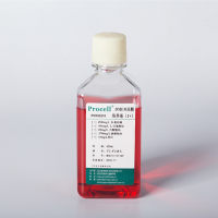 DMEM培养基 / DMEM Medium