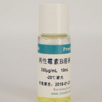 两性霉素B / 两性霉素B溶液(250μg/mL)
