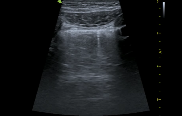 image004.png
