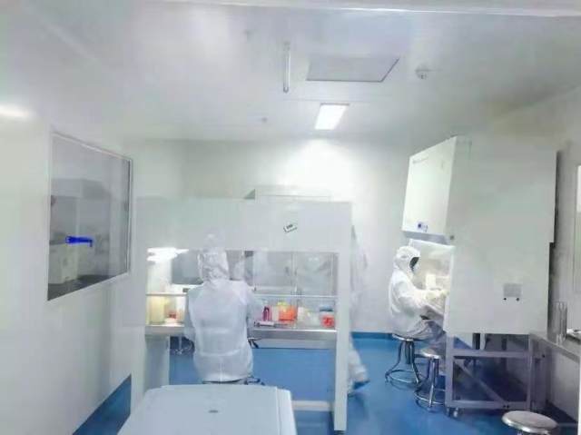 image1.jpeg