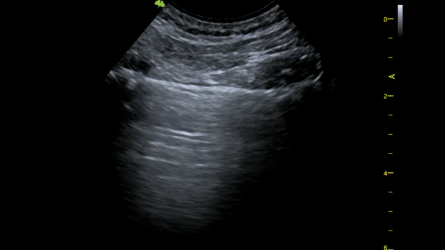 image003.png