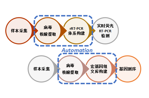 生命至上，小贝战“疫”：新型冠状病毒核酸检测自动化方案