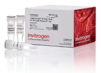 SuperScript™ III 白金酶一步法RT-PCR预混液