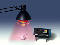 Physitemp   TCAT-2配件: 加熱燈HL-1