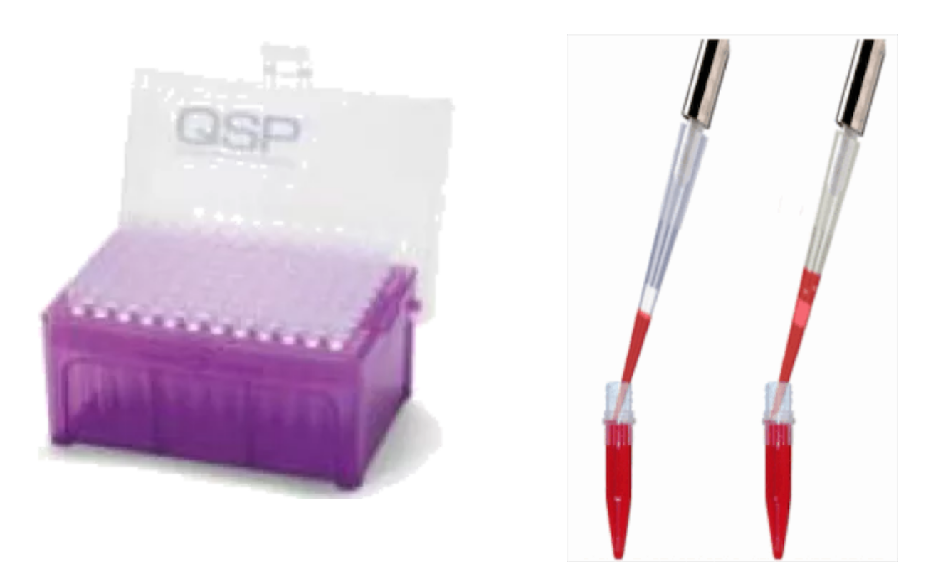 24h 全程守护 | 赛默飞倾力支持疫情防控