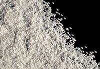 酒石酸丸芯    CDE登记号：F20200000476