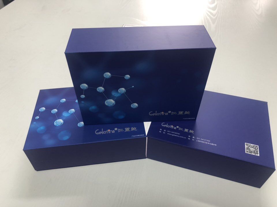 会员促销大鼠免疫球蛋白G试剂盒