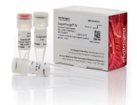 Dxy SuperScript™ IV 反转录酶