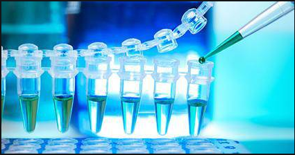 上海一研本月主推2019-nCoV科研N基因RT-PCR试剂盒新品盛大上市