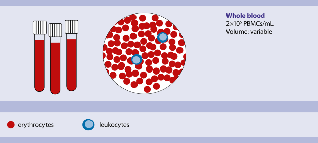 StraightFrom  全血磁珠系列，临床血液样本细胞分选的精准之选