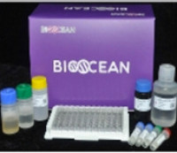Bioocean Elisa 试剂盒--人