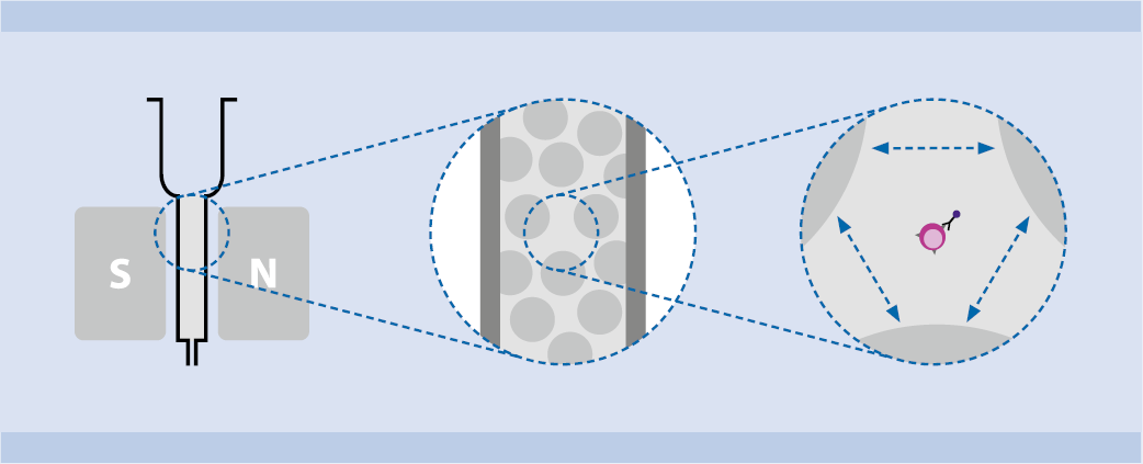 StraightFrom 全血磁珠系列,临床血液样本细胞分选的精准之选