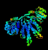 Recombinant Human ENA-78, 8-78 a.a./CXCL5