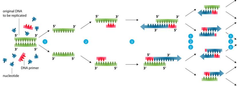柱式病毒RNA提取试剂盒