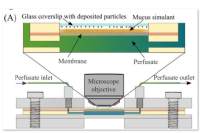 吸入粉剂体外溶出度测试系统