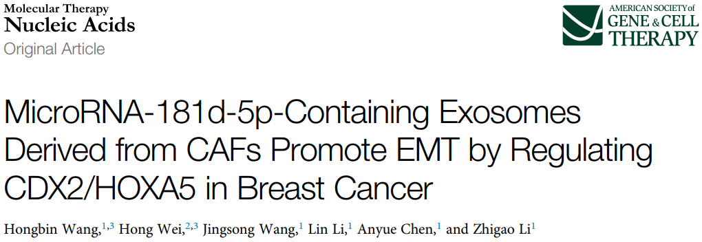 CAFs释放的含microRNA-181d-5p的外泌体通过调节乳腺癌中CDX2\HOXA5促进EMT