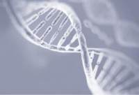 Recombinant Human Galectin-3