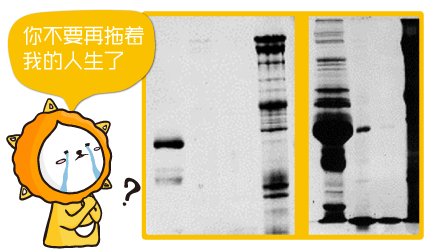 WB常见问题(三)-3个WB遇拖带该做的事