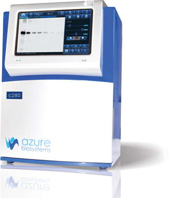 Azure Biosystems C280化学发光成像系统