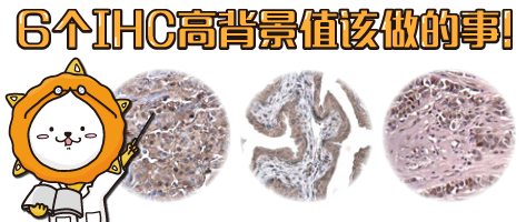 IHC问题排除(二)-6个IHC高背景值该做的事