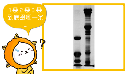 WB常见问题(六)-6个WB遇非专一性该做的事