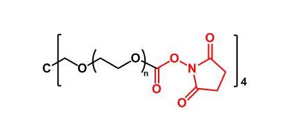 四臂聚乙二醇琥珀酰亚胺酯 / 四臂聚乙二醇琥珀酰亚胺酯