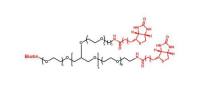 8ARM-PEG-Biotin / 8ARM-PEG-Biotin