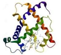 Recombinant HBsAgadw