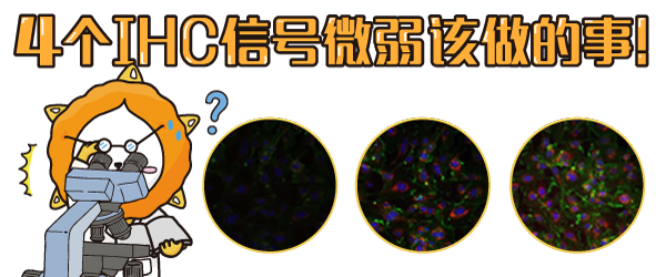IHC问题排除(三)-4个IHC讯号微弱该做的事