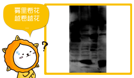 WB常见问题(五)-4个WB遇高背景值该做的事