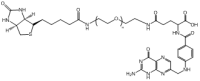 叶酸聚乙二醇生物素 / 叶酸聚乙二醇生物素