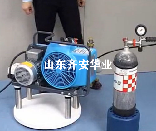 德国宝华充气泵JUNIOR II消防用油水分离滤芯057679