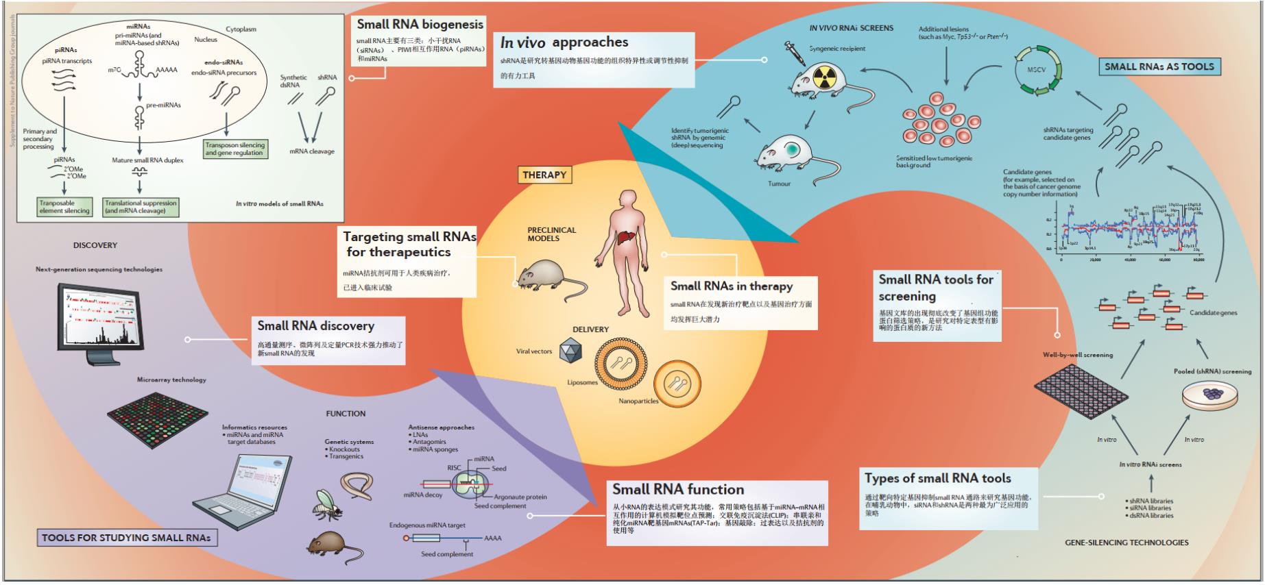 CarT治疗毒副作用不可避免，癌症治疗因人而异，临床小RNA治疗方案又现曙光