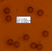 5微米PET滤膜