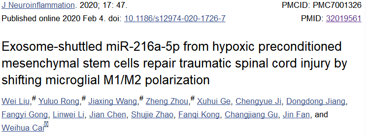 缺氧下MSC细胞分泌的携带miR-216a-5p外泌体可通过调控小胶质细胞M1/M2极化修复外伤性脊髓损伤