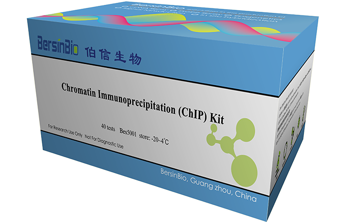 染色质免疫沉淀(ChIP)试剂盒（ChIP kit (动物)，12T）