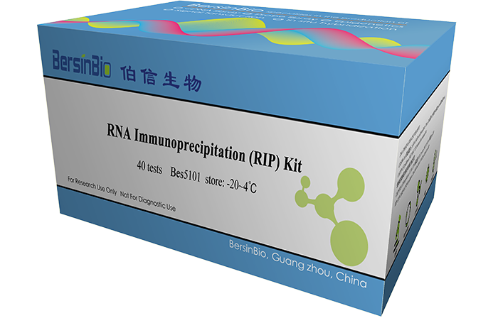 RNA免疫沉淀试剂盒（RIP Kit，40T）