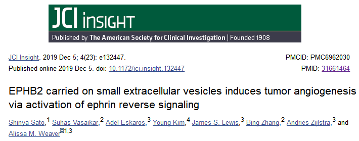 携带在细胞囊泡上的EPHB2通过激活ephrin信号通路诱导肿瘤血管形成