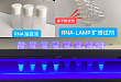 蓝谱生物将引进 LAMP® 法新型冠状病毒快速检测试剂盒