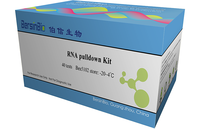 RNA pulldown試劑盒（RNA pulldown Kit，40T）